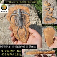 ���������~�x �滯ʯ �b����x��ɳĮ�쾰 ���ɳ��� �ת{���x