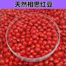 ��Ȼ���t����˼��ɢ�����ֹ�diy�ִ���������ԭ�Ѵ���Ʒ����0