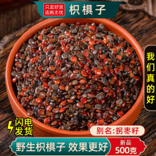 枳椇子中药材500g枳椇子拐枣籽鸡爪梨万寿果新鲜可打粉另售葛根