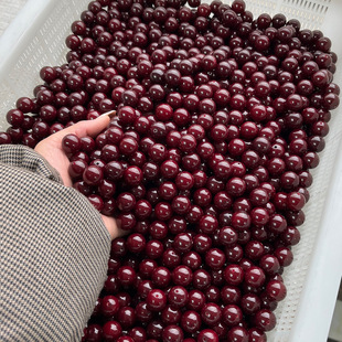 Factory Seiko genuine cherries round card 15diy handmade bodhi root loose beads Wen play around fingers soft Myanmar old material