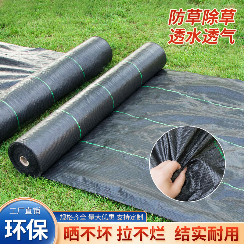 PE进口全新新型防布季候耐用果园果树透气保湿农用除地布批发