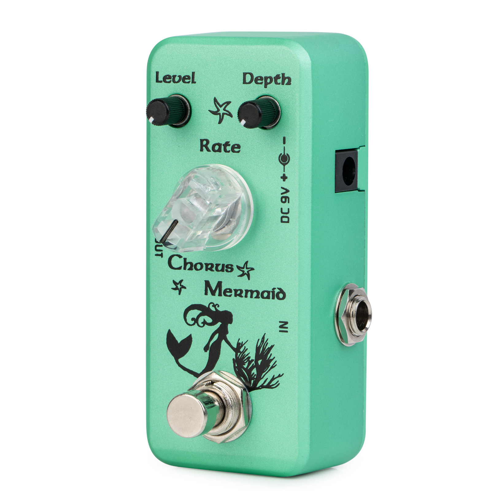 IMG_0269