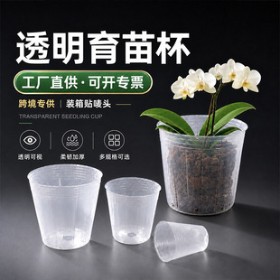 �羳�m�����籭͸��ܛ���ϠI�B�������m����һ����ֲ��������Ӹ�