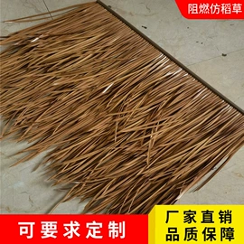 其他景观材料;塑料建材;景观工程项目