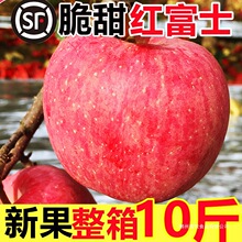 �O�����rˮ��������һ���������]�l�t��ʿ�ؼ�������ĳ�ƽ�O��