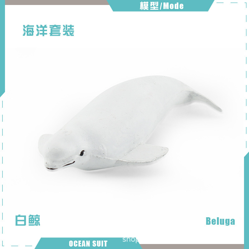 Ballena blanca BL-5296 8g