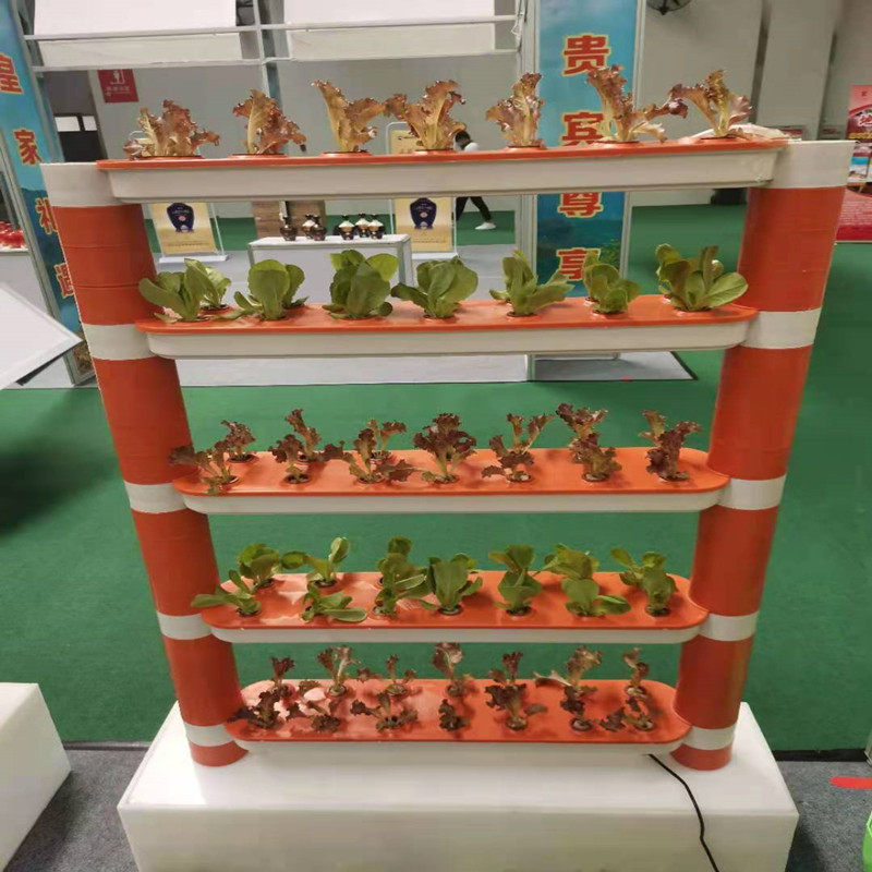 Casa Jardinería cultivo independiente jardín de infantes ciencia popular cultivo tridimensional sin suelo educación escolar cultivo de plantación de vegetales