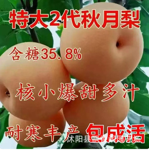 �ش���������糬���������޽ӹ������ͺ��ϱ����Nֲ����Y����