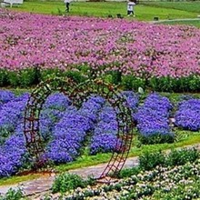 �M���Ǹɻ������滨�͏d�[�O�b[������������L����Ȼ��������