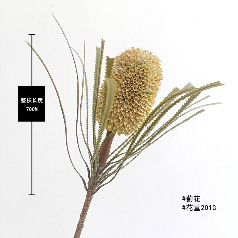 샴페인