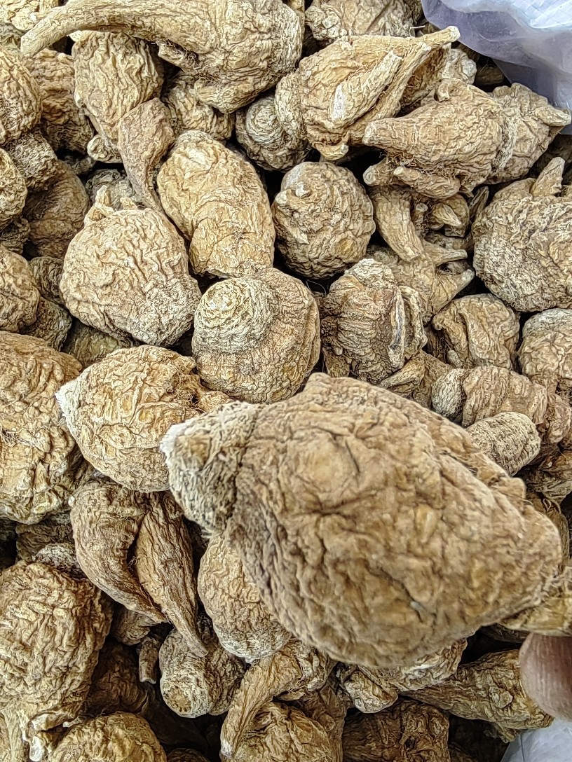 Maca Root (Lepidium meyenii) — Yunnan Black & Yellow Maca Slices, 500g Food Herb specifications