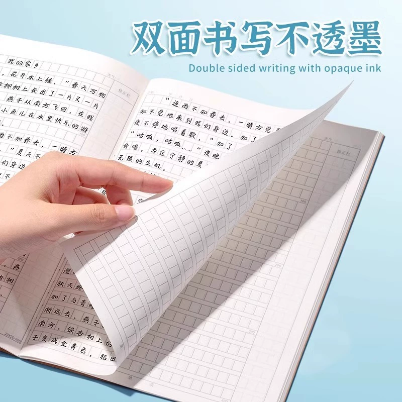 Book for students, 400 cells, increased thickness, English