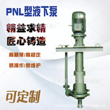 PN/PNL型液下泵泥浆泵卧式立式单级单吸悬臂式矿山工业泵矿砂源头
