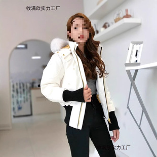 �羳Moose������q��03Ůʿ�̿�A�˽��3Q����ë���ô�ͬ������