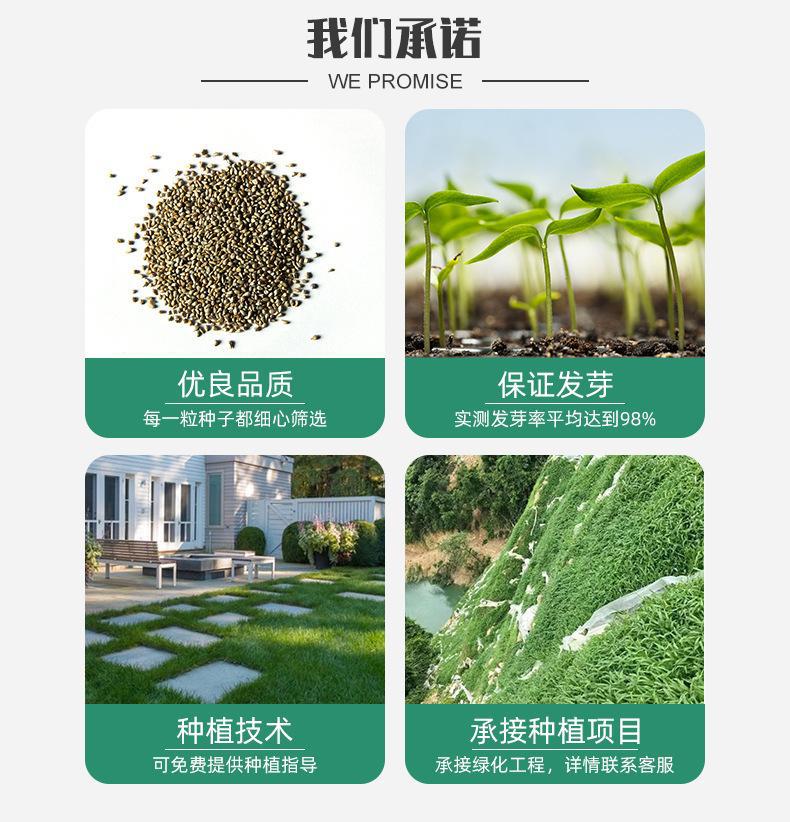 O1CN01oo7Ix521O8roDabRe_!!2210