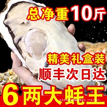 �����6XL��ɽ����r��ĵϠ���r��Ϡ��10�ﺣ�r������ʳ�Y���b