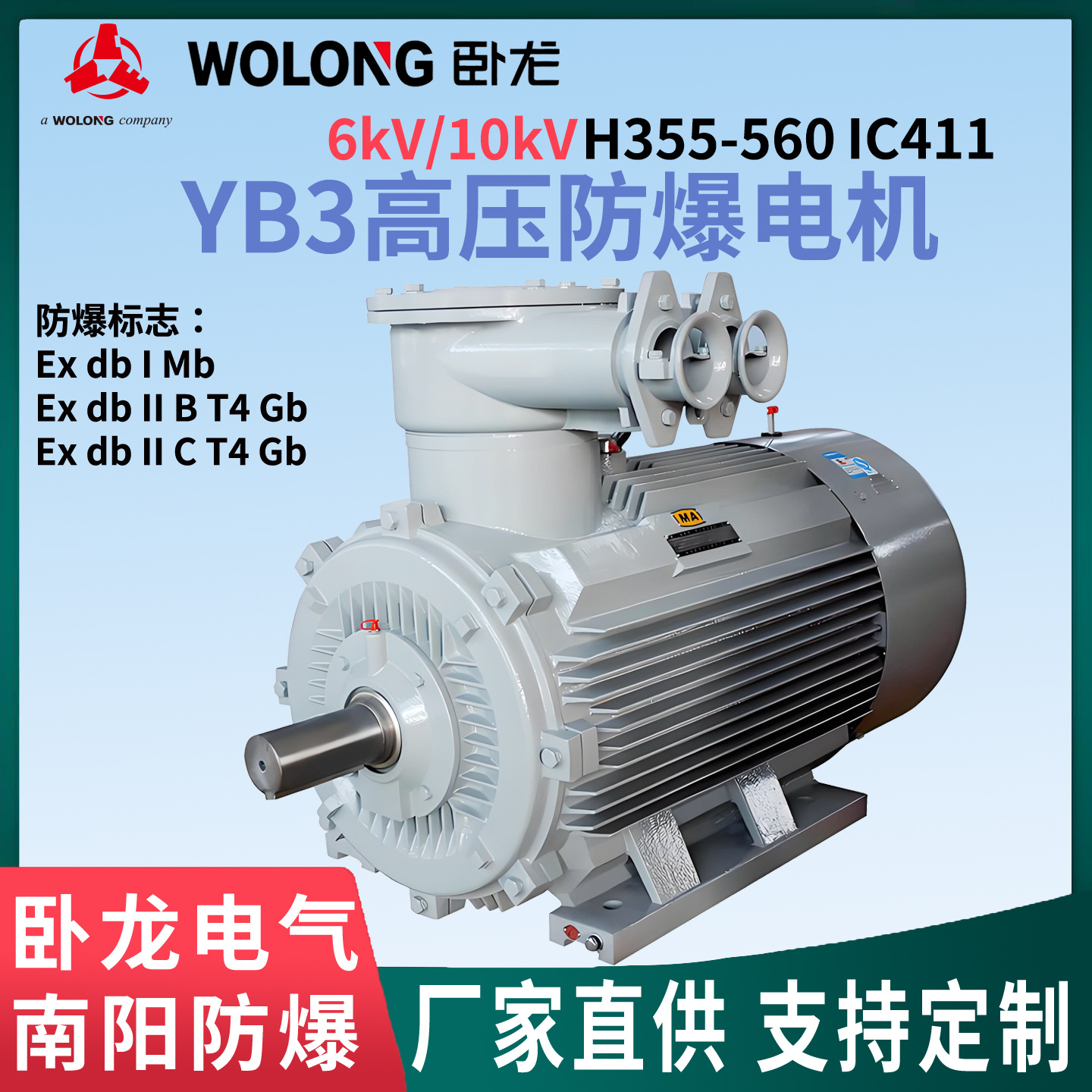 IC411高压防爆电机6/10kV 卧龙南阳防爆喇叭口钢布格兰头进线方式