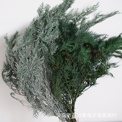 【永生花ヒノキ】クリスマスツリー祭りdiyガーランド材料装飾ドライフラワースノーフレークマツ枝インテリア生け花