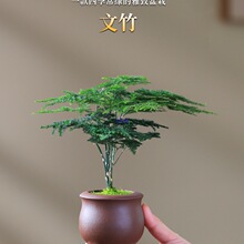 ����С�����������k�����辰�҃����ͻ���ֲ��΢���ļ�����Gֲ