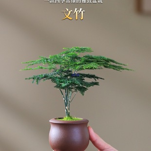 ����С�����������k�����辰�҃����ͻ���ֲ��΢���ļ�����Gֲ