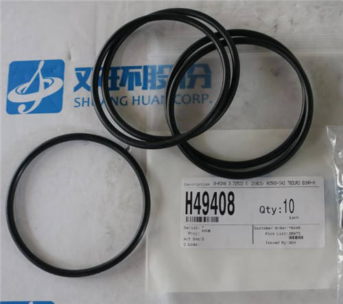 LORAM 密封圈 H49408