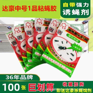 Dachau enlarged fly paper medium size 1 fly paste strong fly stick board fly glue mosquito fly trap