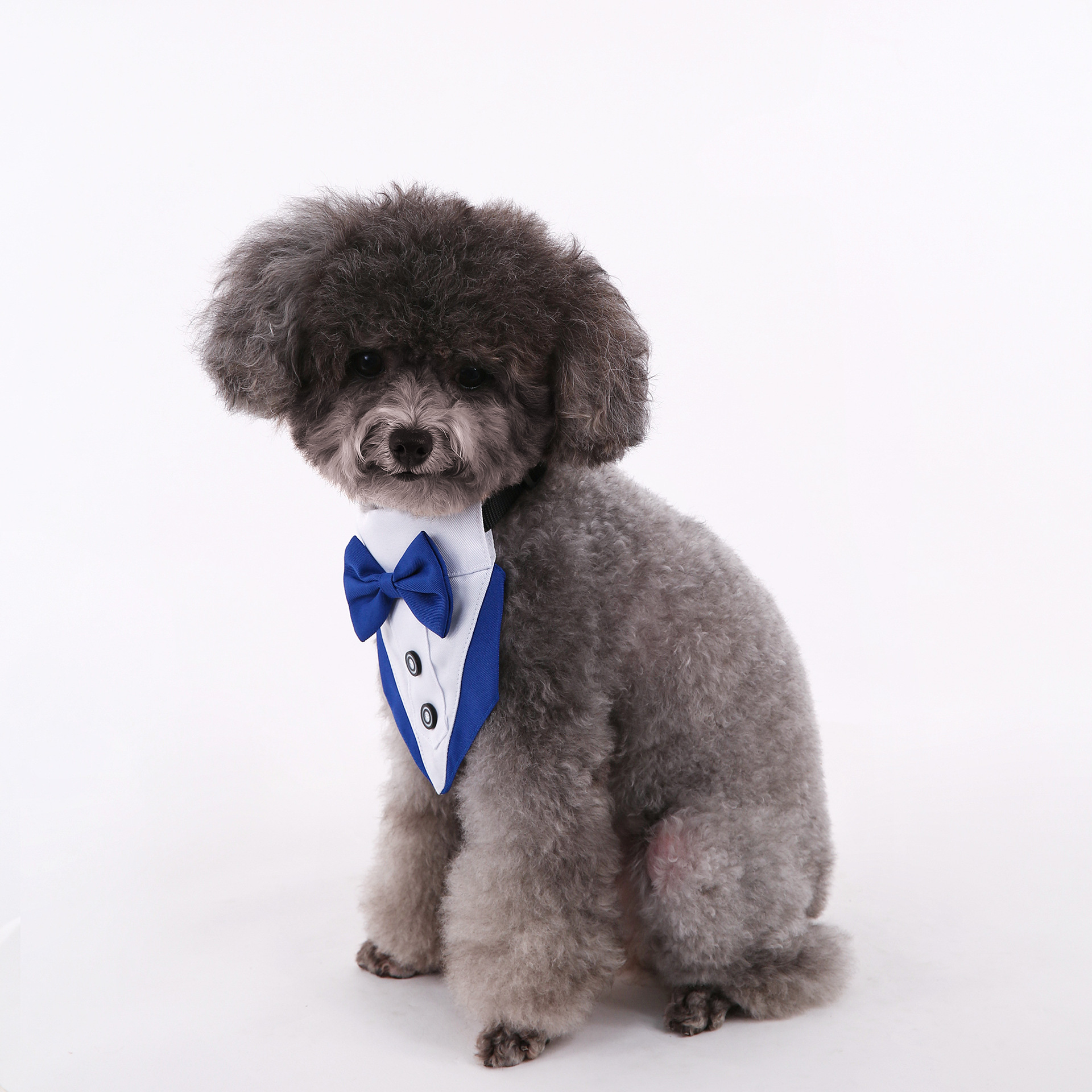 Traje azul y blanco toalla triangular