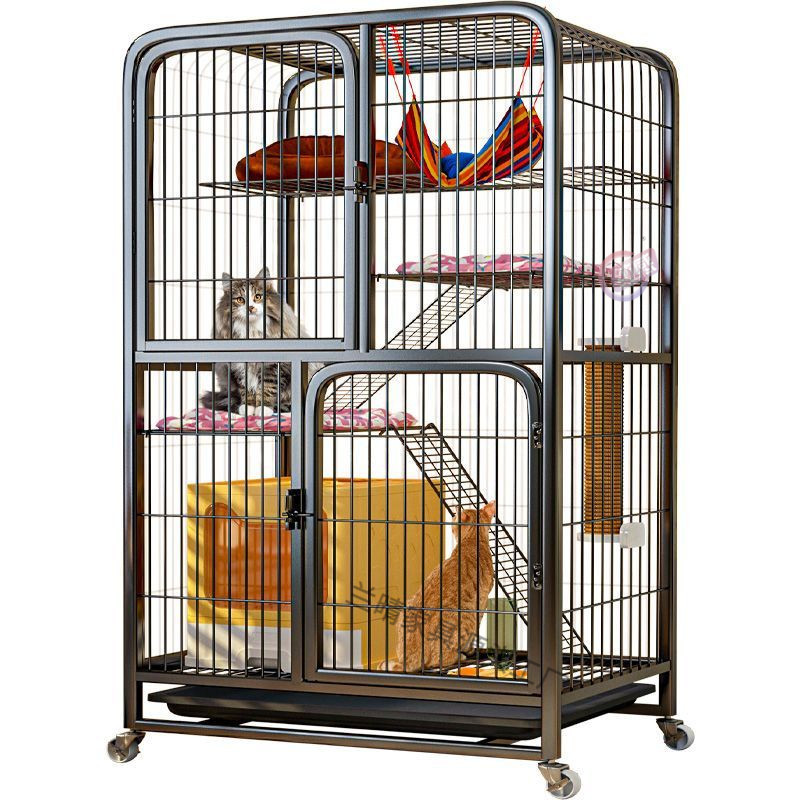 7302e222-6e22-4c60-b0ad-dfdbf8b894a4.jpe