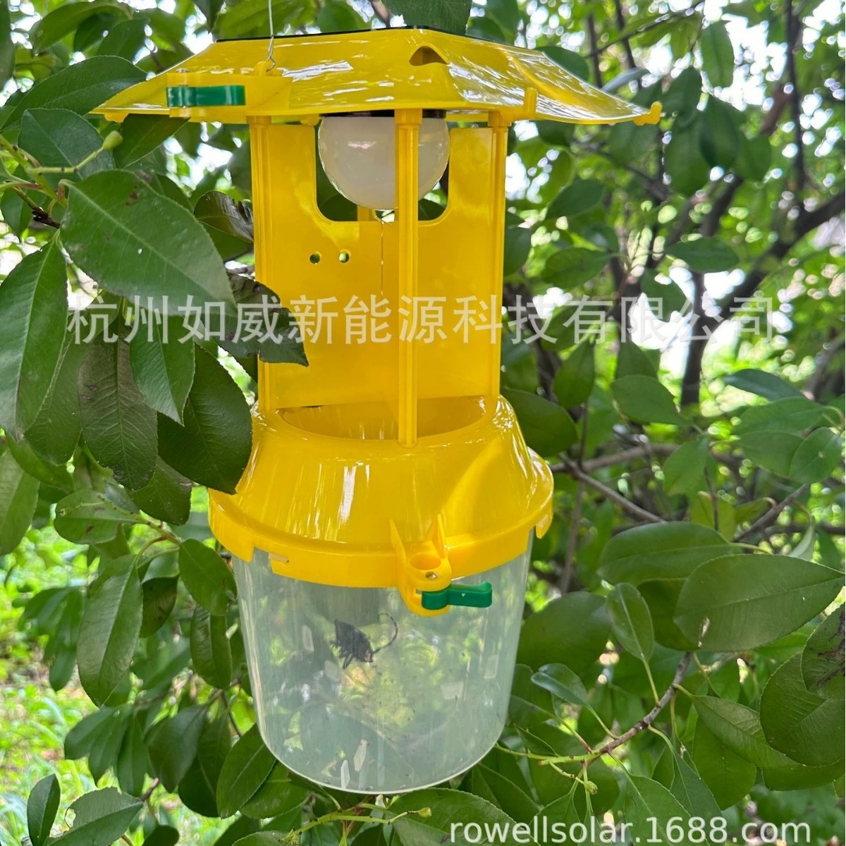 Красная смазка, большие и маленькие черепахи, солнечная ловушка, источник света, маленькие черепахи, источник солнечной ловушки, завод