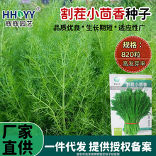 СNСNļ߲˷NӶβСNl