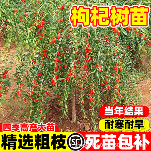 ʳ����轘����ϱ������Դ��箔��Y���ͺ��ͺ��ļ��Nֲ���������