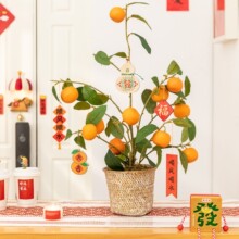 ��麷������Ә�Gֲ�����b� ��ۼٻ�ֲ����w���^�괺���[��