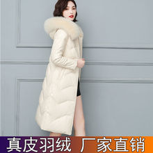 ������ƷƤ��q��Ů���L���¿���������ë�����d��Ƥ��������q��