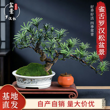 �_�h���辰С�~ȸ�������h֦�����k���ҿ͏d����Gֲ���Զ�����