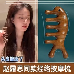 Multifunctional Meridian Massage Comb with Dolphin Design for Hair Loss Prevention, Nose Scraper, Genuine Sandalwood Comb for Shoulders, Neck, and Eyes
