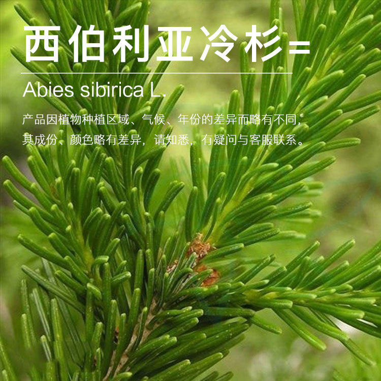 ����������ɼ���� ����������ɼ��  ֲ�ﾫ�� ���㷼��ԭ������