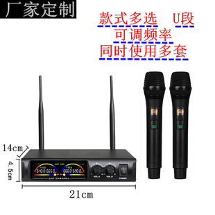 Wireless Microphone One to Two U-segment Fm Home KTV Amplifier Performance Microphone Manufacturer Wholesale Can LOGO