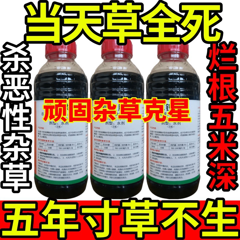 当天草全死高浓缩抗性斩草除根除草剂农药灭草剂烂根林木开荒