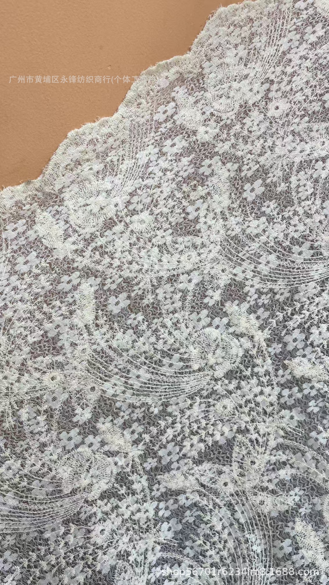 微信图片_20250501041307