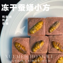 ������ʳ�����QӼС��������؈���}��Ӗ������