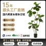 仿生仿真大型客厅绿植