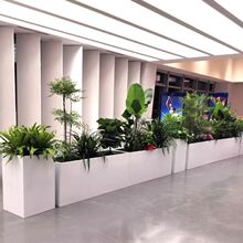 �̘I�����Fˇ���P䓻�����ƽM��ͥԺ�Nֲ������¶̨���۸�������