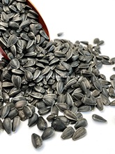 ��������С��������Ϳ����W�^�Bʳ��ς}����ʳ�B�Z���Z5���S��