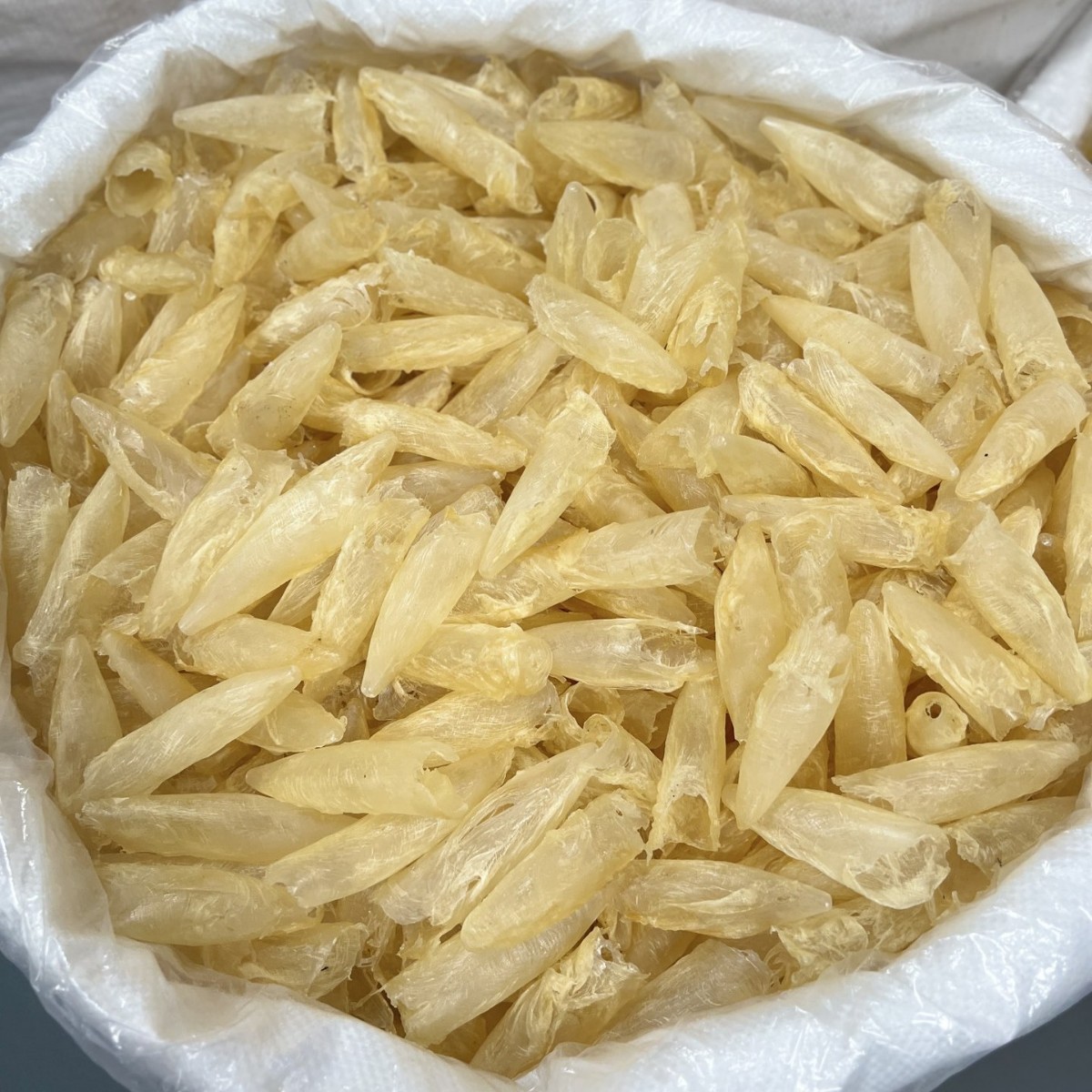 100头咸水筒足干深海咸水黄花胶筒 鱼泡鱼肚鱼胶滋补品海味干货