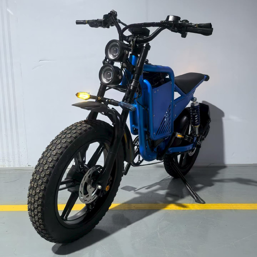 K15 Electric Assist Bicycle Dual Motor EBiK Electric Assist Bike Dual Shock Absorber Dual Drive Motor Electric Vehicle