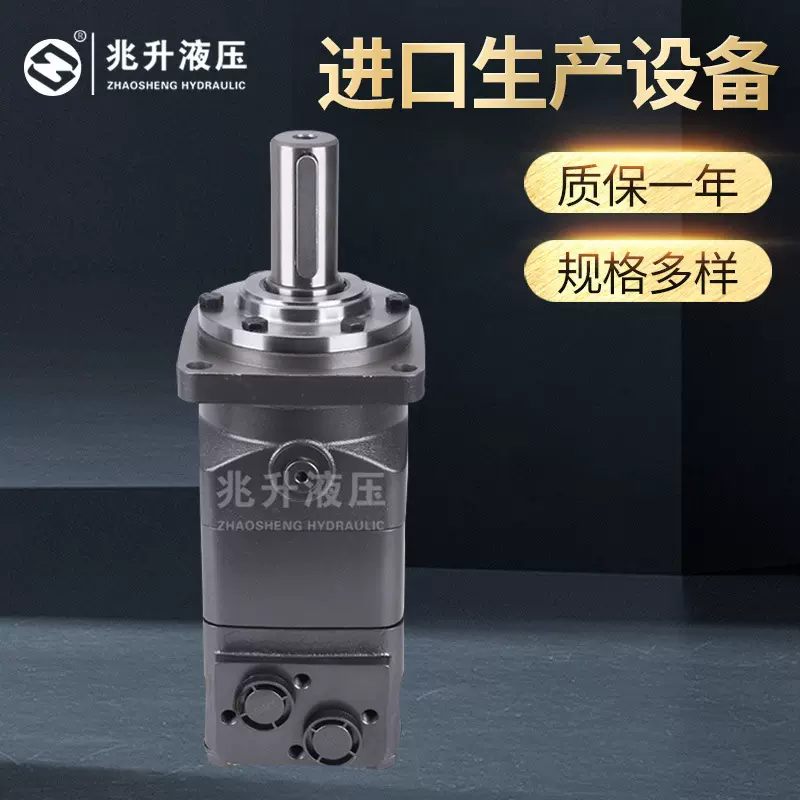 厂家批发BMT系列摆线液压马达专用车马达高压高负荷 低速大扭矩