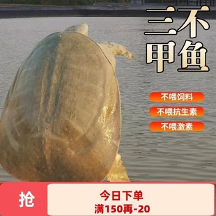 ���~�r�����B����Ұ����B���A�σ��|�o����ˮ�~�F�~���S����