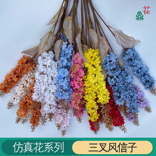 ��֦�L���� �w���ǧ���m �����L�������_�m��Y·�����üٻ�����