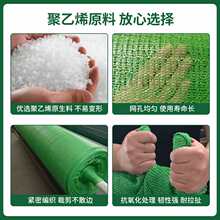 ??�w���W���m�W���B���ؾG�W���w�W�G���W�������w�W�Gɫ�wú