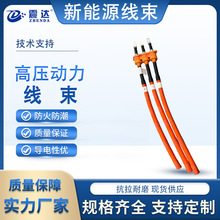 新能源电车高压线三相集成高压动力线束总成电驱 / 逆变器专用